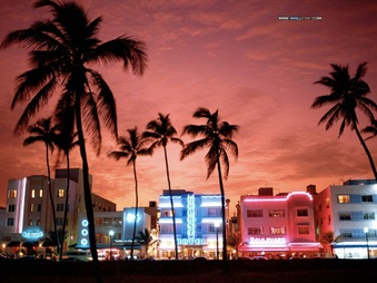 Enlarge photo 50