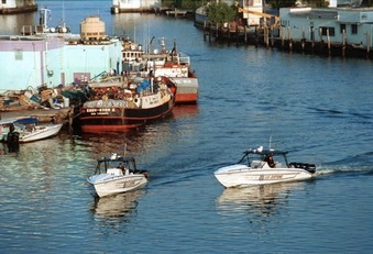 Enlarge photo 52