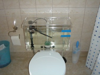 Enlarge photo 7