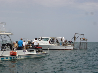 Enlarge photo 13