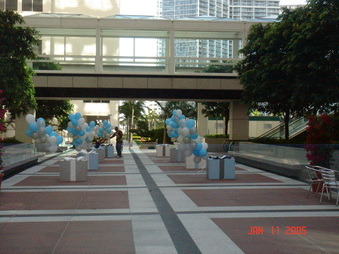 Enlarge photo 106