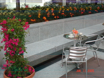 Enlarge photo 107