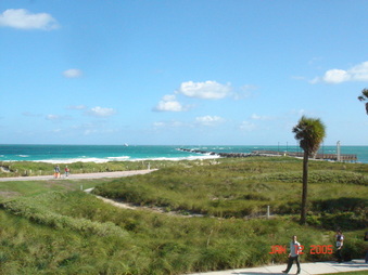 Enlarge photo 131