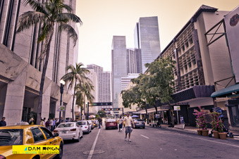 Enlarge photo 154