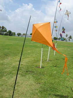 Enlarge photo 52