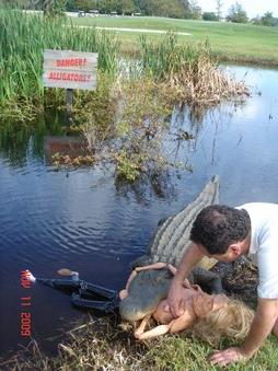 Enlarge photo 50