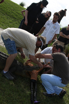 Enlarge photo 81