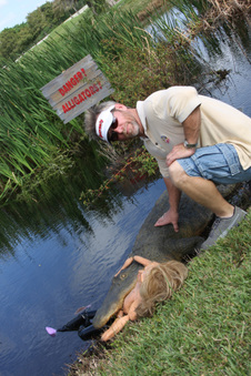 Enlarge photo 83
