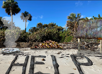 Enlarge photo 56