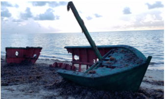 Enlarge photo 55