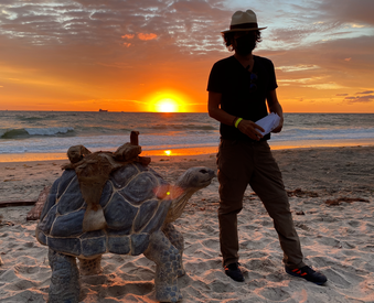 TAX ACT = THE CASTAWAY