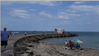 Enlarge photo 22