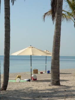 Enlarge photo 135