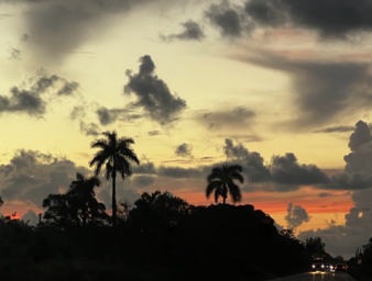 Enlarge photo 28