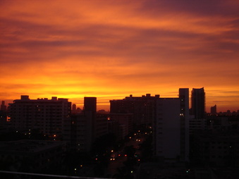 Enlarge photo 35