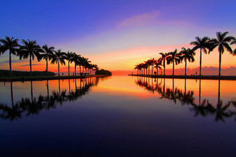 Enlarge photo 38