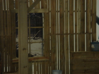 Enlarge photo 72