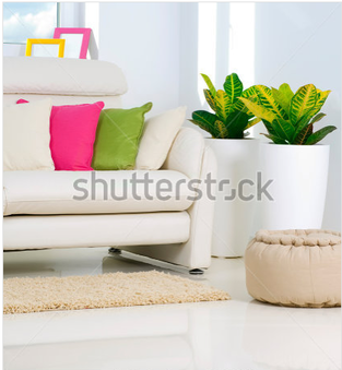 Enlarge photo 52