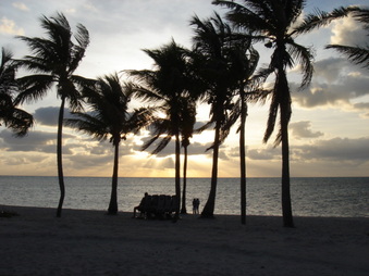 Enlarge photo 82
