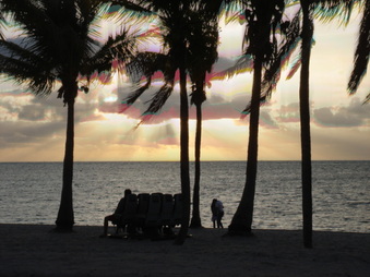 Enlarge photo 83