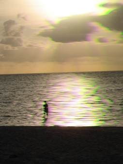 Enlarge photo 85