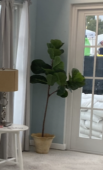 Enlarge photo 19