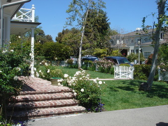 Enlarge photo 87
