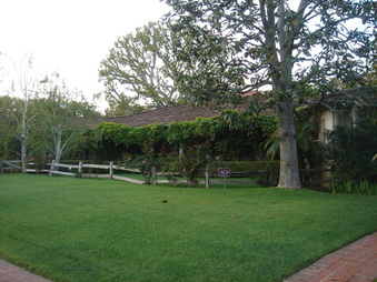 Enlarge photo 105