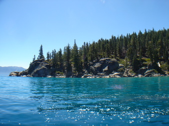 Enlarge photo 10