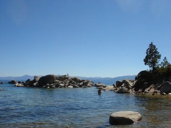 Enlarge photo 42