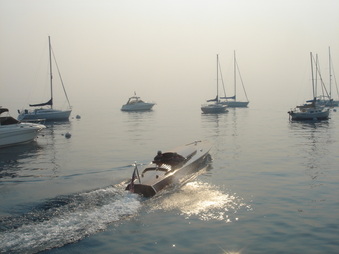 Enlarge photo 70