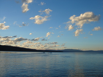 Enlarge photo 96