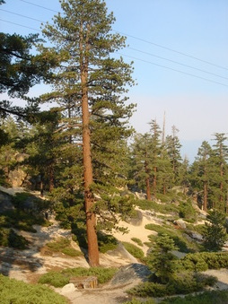 Enlarge photo 128