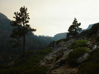 Enlarge photo 131