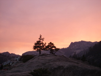 Enlarge photo 133