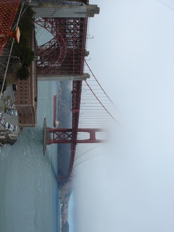 Enlarge photo 138