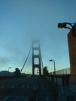 Enlarge photo 153