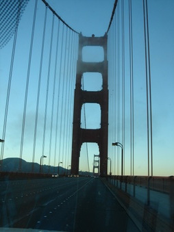 Enlarge photo 154