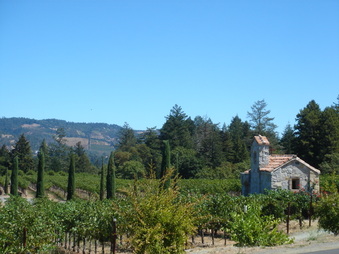 Enlarge photo 161