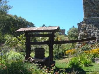 Enlarge photo 165