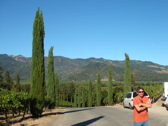 Enlarge photo 188