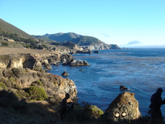 Enlarge photo 216