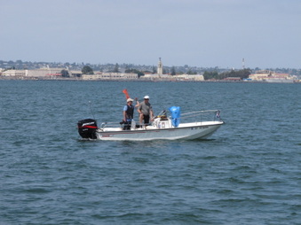 Enlarge photo 337