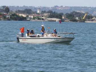 Enlarge photo 338