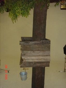 Enlarge photo 217
