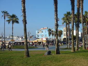 Enlarge photo 99