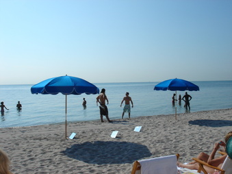 Enlarge photo 41