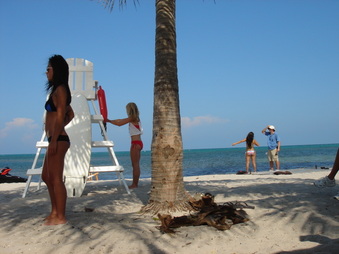 Enlarge photo 98