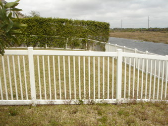 Enlarge photo 41