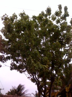 Enlarge photo 42